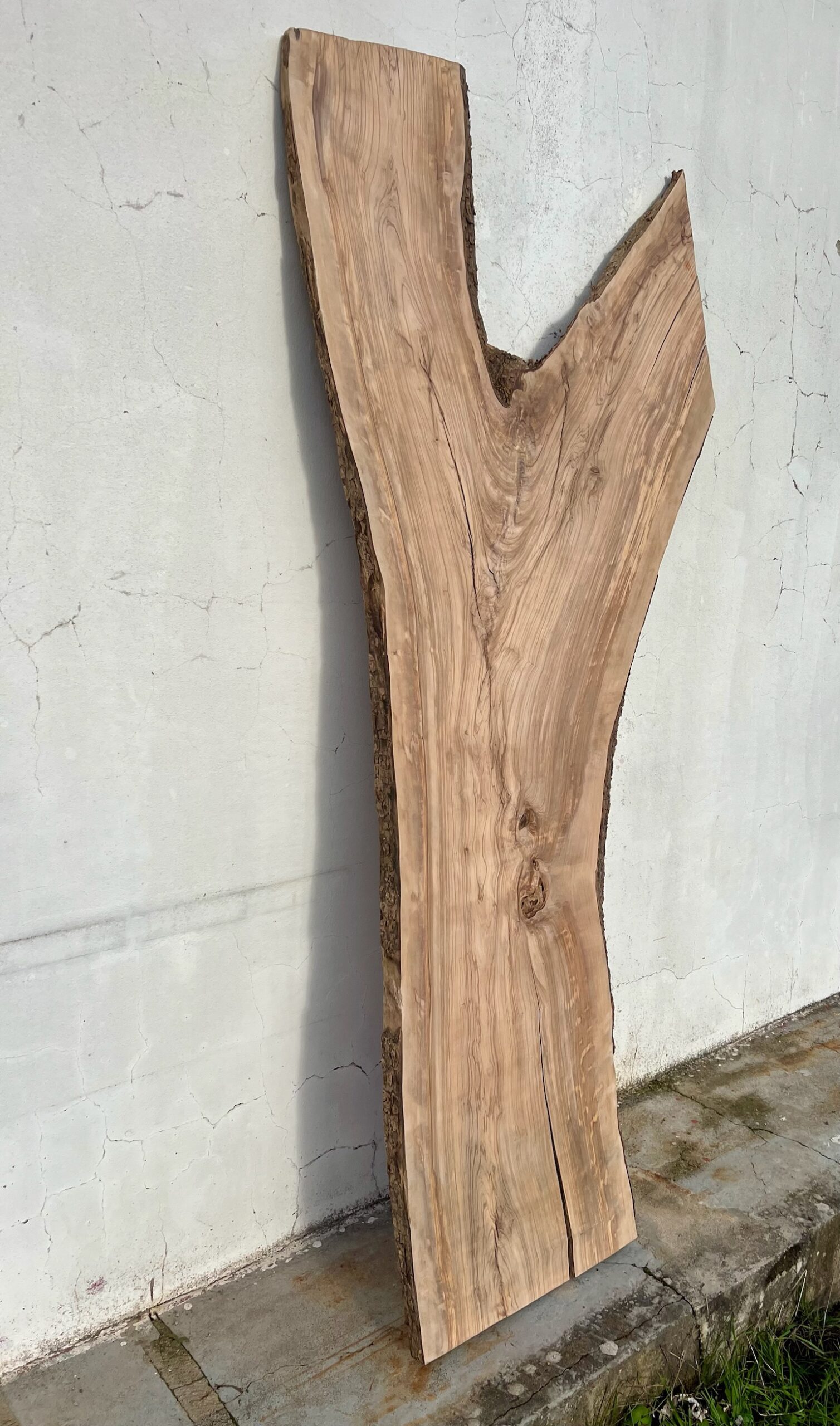 tabua oliveira madeira tabua oliveira madeira