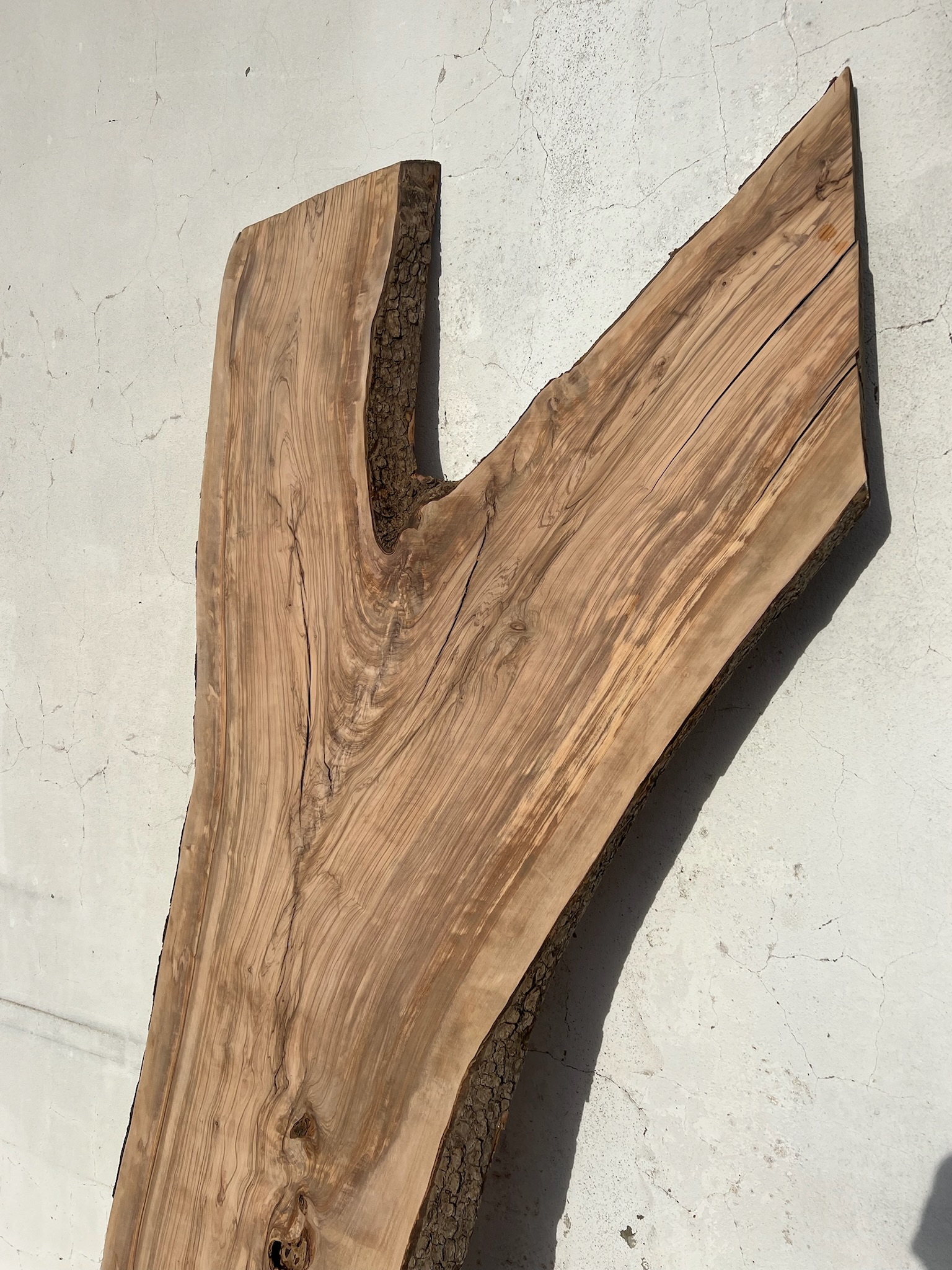 tabua oliveira madeira tabua oliveira madeira