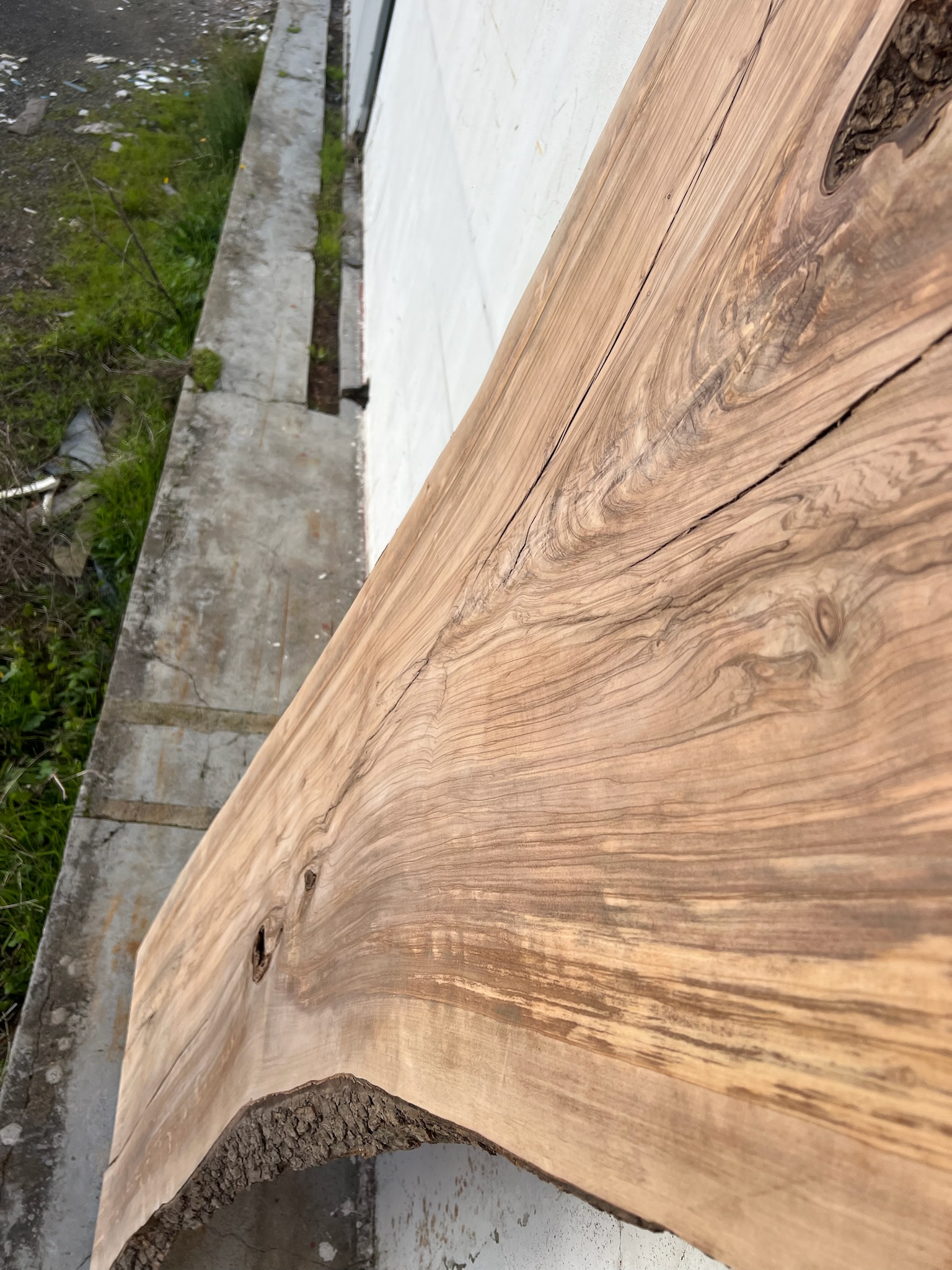 tabua oliveira madeira tabua oliveira madeira